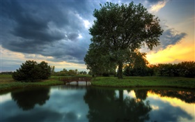 Dusk, trees, grass, water reflection, sunset