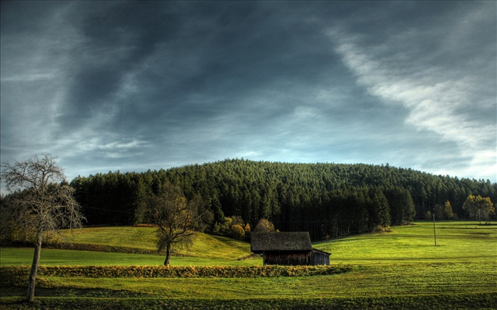 Farmland, house, trees, clouds Wallpapers Pictures Photos Images