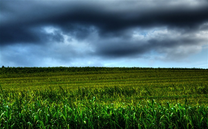 Farmland scenery, clouds, dusk Wallpapers Pictures Photos Images