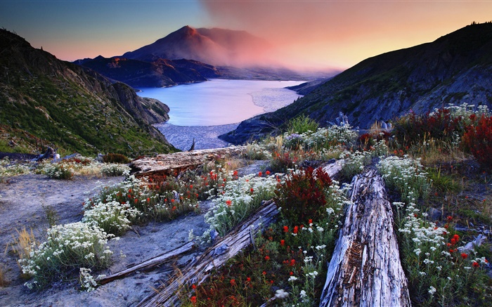 Flowers, slope, volcanic lake, trees, mountains, dawn, fog Wallpapers Pictures Photos Images