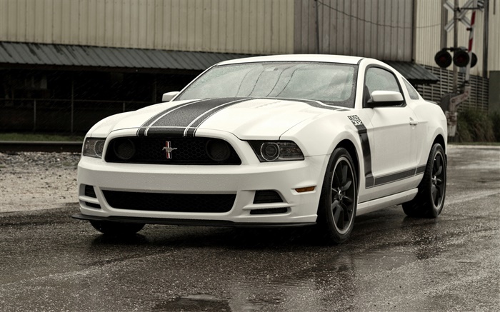 Ford Mustang Boss 302 white car Wallpapers Pictures Photos Images