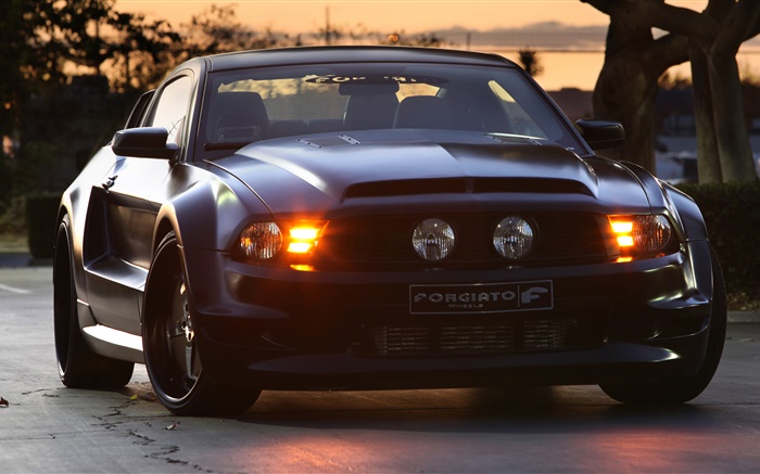 Ford Mustang GT Forgiato black car Wallpapers Pictures Photos Images