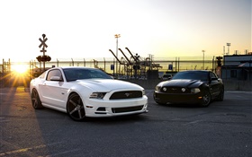 Ford Mustang white and black cars HD wallpaper
