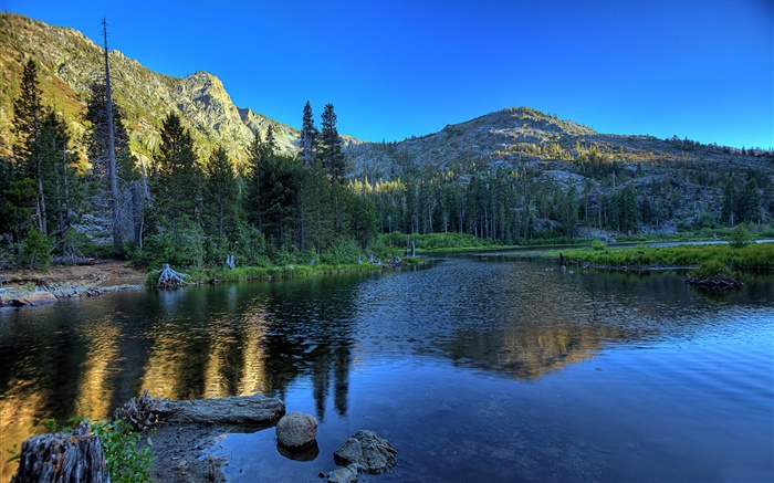 Forest, lake, mountains, morning Wallpapers Pictures Photos Images