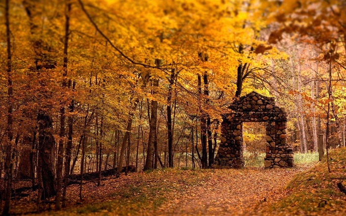 Forest, trees, autumn, red style, stone gate Wallpapers Pictures Photos Images