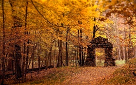 Forest, trees, autumn, red style, stone gate HD wallpaper