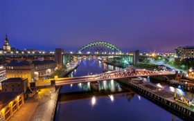 Gateshead, England, city, night, river, bridge, buildings, lights HD wallpaper