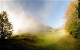 Grass, fog, morning, house, Glarus, Switzerland