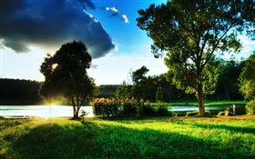 Grass, trees, riverside, sun rays, clouds HD wallpaper