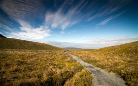 Gravel road, grass, Coromandel Peninsula, New Zealand HD wallpaper