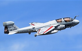 Grumman EA-6B Prowler aircraft