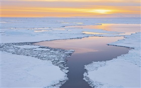 Ice, snow, sea, coast, sunrise HD wallpaper