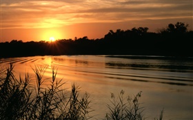 Lake, sunset, grass, dusk