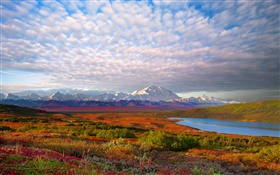 Lake, trees, clouds, dusk, Denali National Park, Alaska, USA HD wallpaper