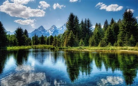 Lake, trees, mountains, clouds, water reflection HD wallpaper
