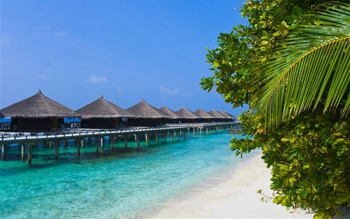 Leisure resort, huts, tropical coast Wallpapers Pictures Photos Images