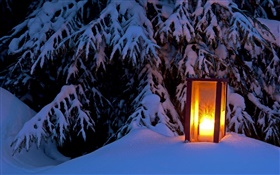 Lit lantern, snowy tree, winter HD wallpaper