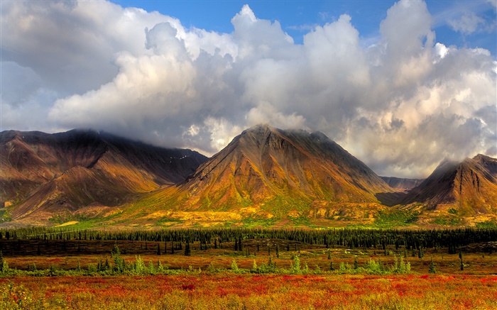 Mountains, trees, clouds, Denali National Park, Alaska, USA Wallpapers Pictures Photos Images