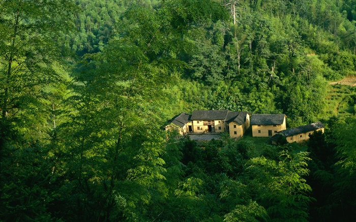 Mountains, trees, green, old house, Chinese landscape Wallpapers Pictures Photos Images