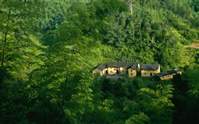 Mountains, trees, green, old house, Chinese landscape