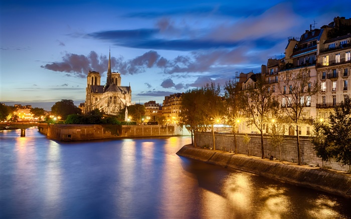 Notre Dame, France, river, trees, house, night, lights Wallpapers Pictures Photos Images