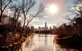 Park, sunset, city, USA, river, trees, autumn HD wallpaper