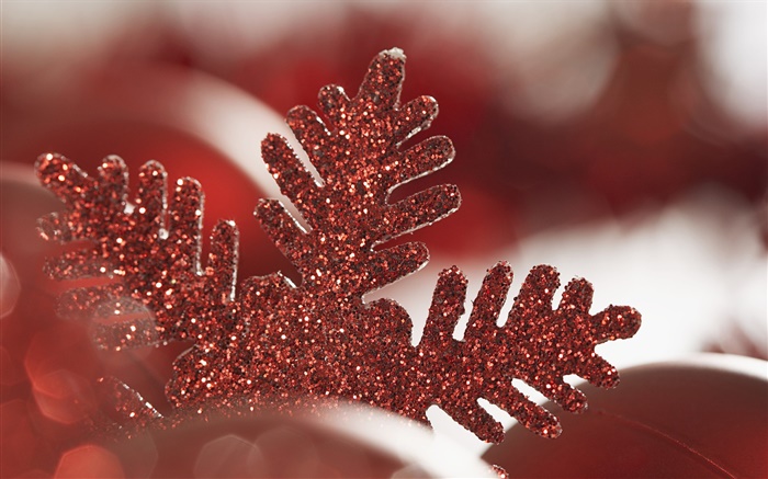 Red Christmas snowflake decoration Wallpapers Pictures Photos Images