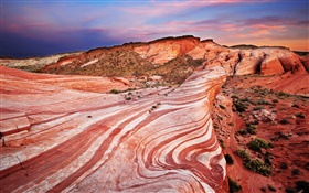 Red rocks, desert, sunset HD wallpaper