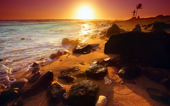 Rocky shoreline, sunset, Hawaii, USA Wallpapers Pictures Photos Images