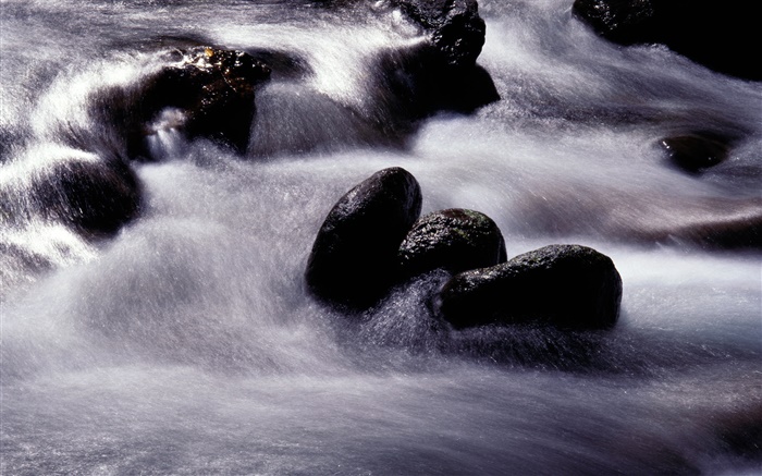 Stream, river, black stone Wallpapers Pictures Photos Images