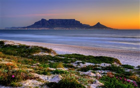Table Bay, Cape Town, South Africa, beach, sea, dusk HD wallpaper