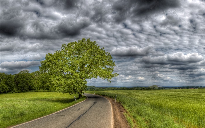 Thick clouds, trees, grass, road, house Wallpapers Pictures Photos Images