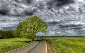 Thick clouds, trees, grass, road, house HD wallpaper