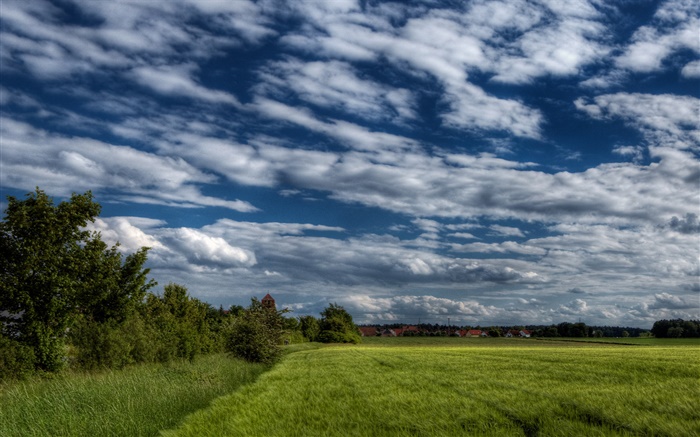 Trees, field, house, clouds Wallpapers Pictures Photos Images