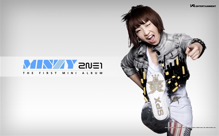 2NE1, Korean music girls 11 Wallpapers Pictures Photos Images