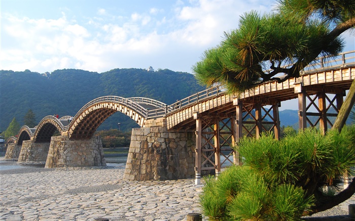 Arched wooden bridge, trees Wallpapers Pictures Photos Images