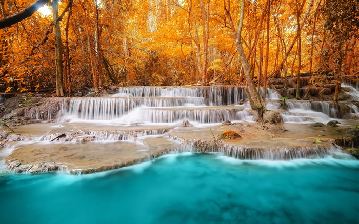 Autumn, forest, trees, river, waterfalls Wallpapers Pictures Photos Images