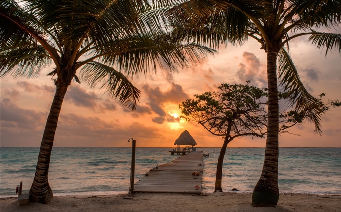 Beach, palm trees, pier, sky, clouds, sunset Wallpapers Pictures Photos Images