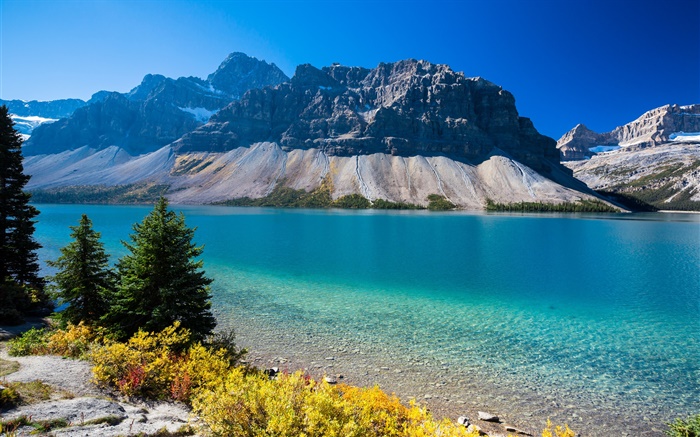 Bow Lake, Alberta, Canada, mountains, trees, blue sky Wallpapers Pictures Photos Images