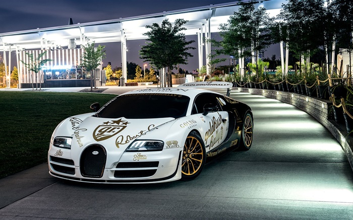 Bugatti Veyron white supercar, New York, trees, night, lights Wallpapers Pictures Photos Images