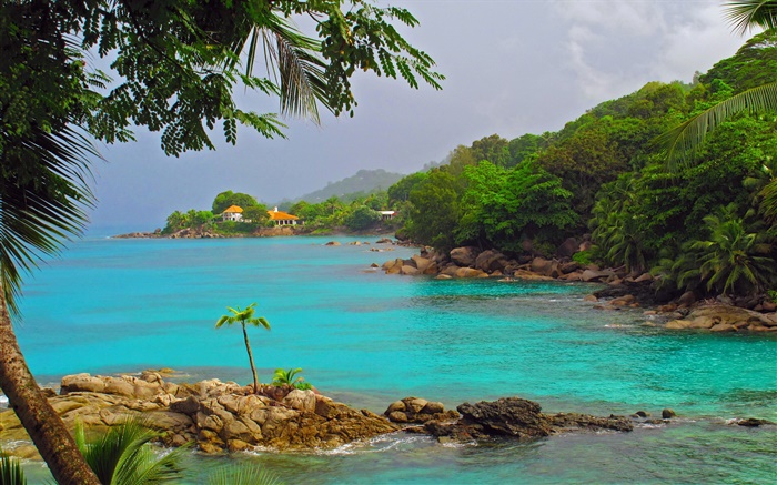 Coast, sea, trees, houses, Seychelles Island Wallpapers Pictures Photos Images