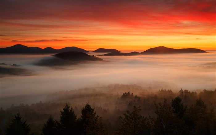 Dawn, mountains, forest, clouds, red sky, fog Wallpapers Pictures Photos Images