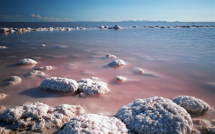 Dead sea, beach, salt Wallpapers Pictures Photos Images