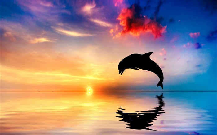Dolphin jump, silhouette, ocean, water reflection, sunset Wallpapers Pictures Photos Images