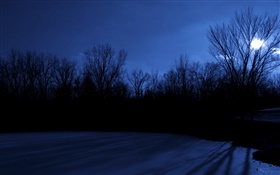 Easter Lake, trees, night, moon, Des Moines, Iowa, USA