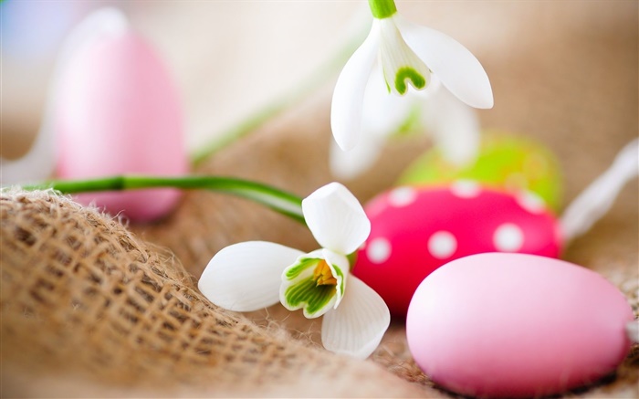 Easter eggs, snowdrops Wallpapers Pictures Photos Images