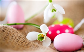 Easter eggs, snowdrops HD wallpaper
