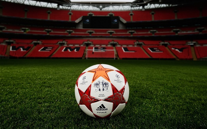 Football, Champions League, grass field, stadium, Wembley Wallpapers Pictures Photos Images
