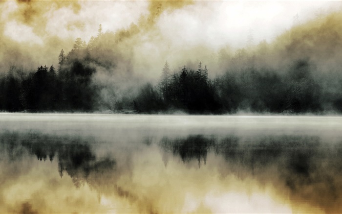 Forest, lake, mist, dawn, water reflection Wallpapers Pictures Photos Images