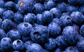 Fruit close-up, blueberry HD wallpaper